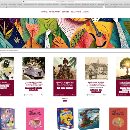 graphiste - webdesign - collectivité territoriale - Web